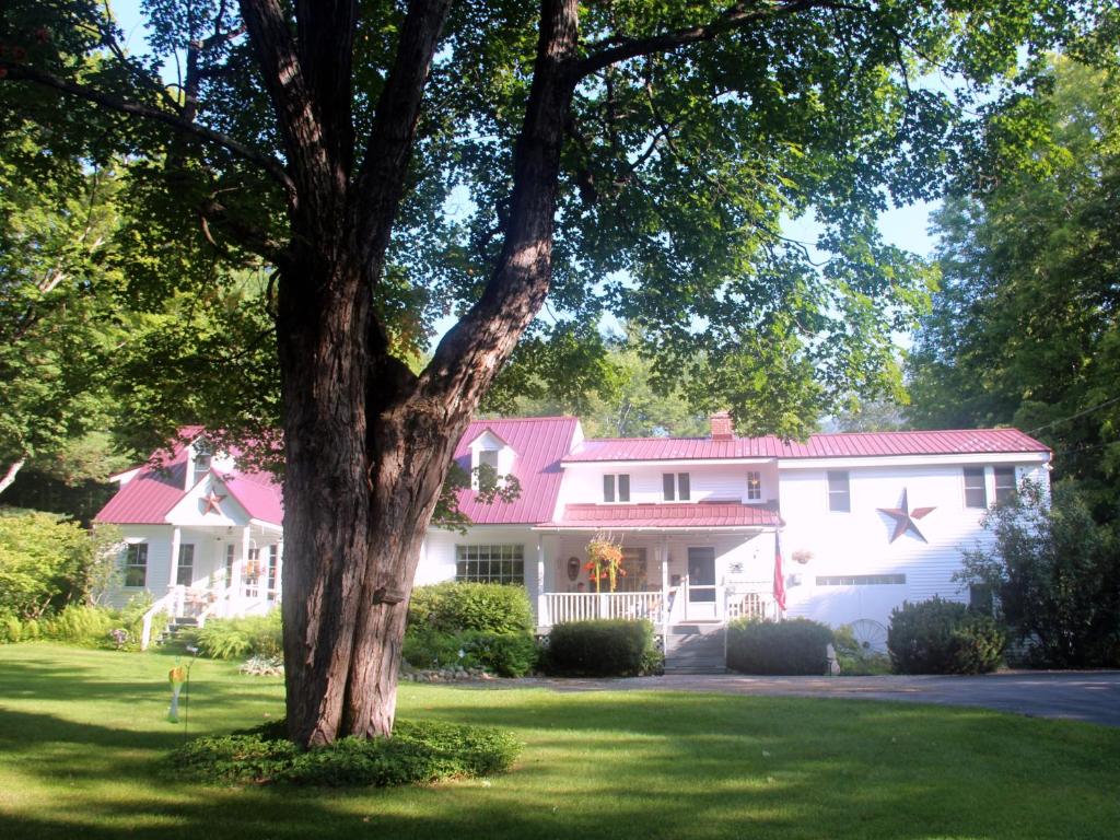 Buttonwood Inn on Mount Surprise